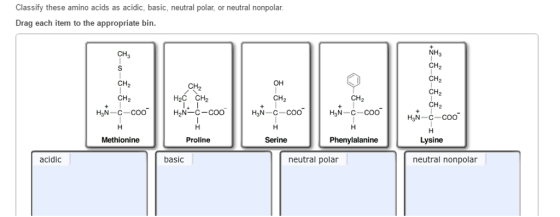Classify these amino acids as acidic, basic, neutr