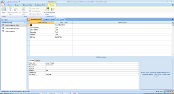 Table Tools SteelCompany: Database (Access 2007) - Microsoft Access Home Create External Data Database Tools Design Insert Ro