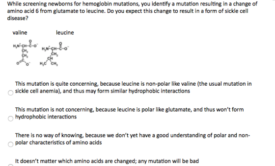 While screening newborns for hemoglobin mutations, you identify a mutation resulting in a change of amino acid 6 from glutama