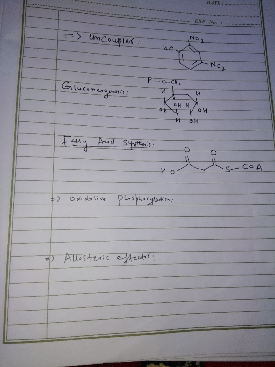 DATE :... EXP No. : = > em Coupler : NO До Gluconeogenesis? р.- 6-см2 и и ои и их — ОИ- и си Fally And Synthenis: и со А с о.