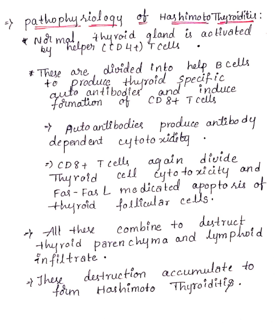 -} pathophy riology of Hashimoto Thyroiditis : * Not mgl, by helper eto44)4 cells thyroid gland is ac tivated * These are, di