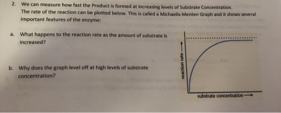 2. We can measure how fast the Product is formed at increasing levels of Substrate Concentration The rate of the reaction can