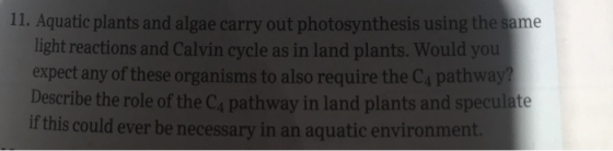 11. Aquatic plants and algae carry out photosynthesis using the same light reactions and Calvin cycle as in land plants. Woul