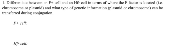1. Differentiate between an F+ cell and an Hfr cell in terms of where the F factor is located (i.e. chromosome or plasmid) an