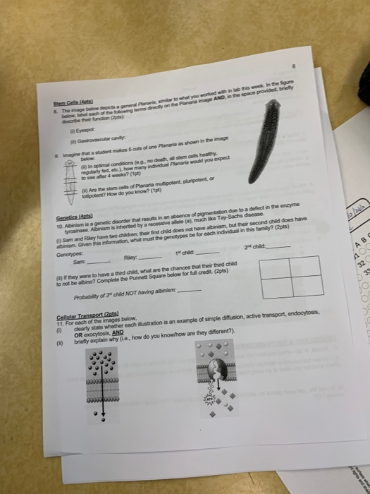the figure The image below did a general Prac csap a t ow you worked within A ND in the space provided by below beach of the