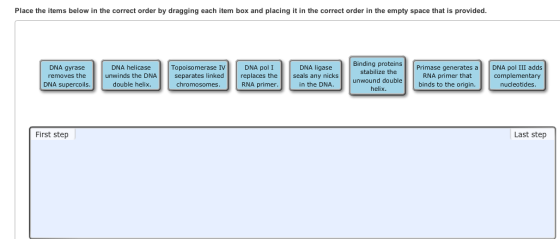 Image for Place the items below in the correct order by dragging each item box and placing it in the correct order in th
