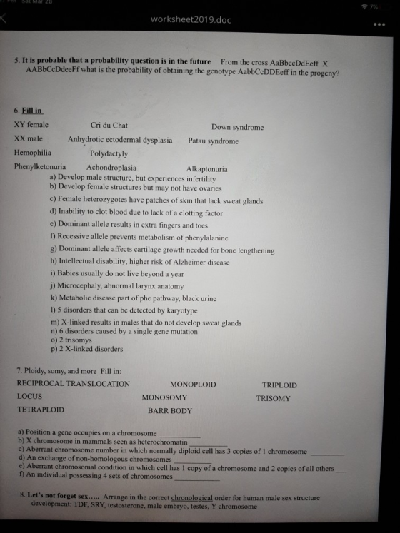 worksheet2019.doc 5. It is probable that a probability question is in the future From the cross AaBbccDdEeff X AABbCcDdeeFf w