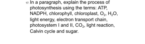 17. In a paragraph, explain the process of photosynthesis using the terms: ATP, NADPH, chlorophyll, chloroplast, 02, H20, lig