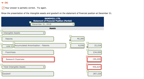 (b) Your answer is partially correct. Try again Show the presentation of the intangible assets and goodwill on the statement
