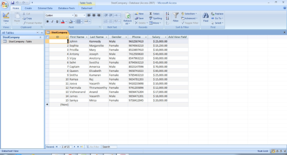 Table Tools SteelCompany: Database (Access 2007) - Microsoft Access Home Create External Data Database ToolsDatasheet ぬcut i