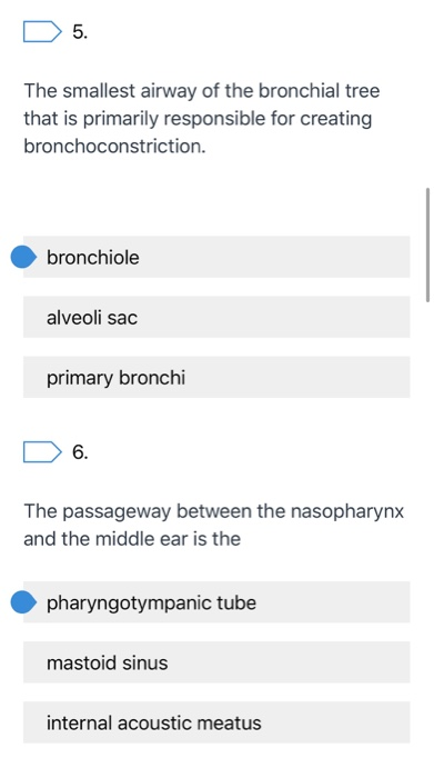 D 5. The smallest airway of the bronchial tree that is primarily responsible for creating bronchoconstriction. bronchiole alv