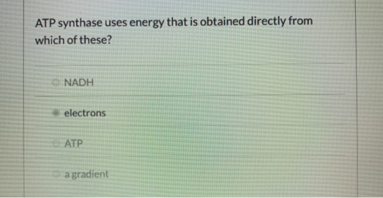 ATP synthase uses energy that is obtained directly from which of these? NADH electrons ATP a gradient