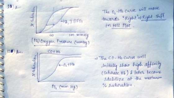 14 The o,-Hb cwve will msve. im Hill Plot 40 Co+Hb The CO- Hb curse wilt (Safurate Hb) 3 later becewe stabilize at the marimun