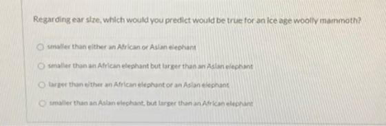 Regarding ear size, which would you predict would be true for an Ice age woolly mammoth? smaller than either an African of As