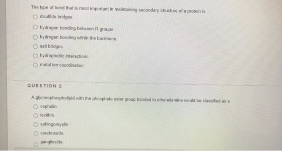 The type of bond that is most important in maintaining secondary structure of a protein is disulfide bridges hydrogen bonding