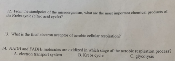 12. From the standpoint of the microorganism, what are the most important chemical produs the Krebs cycle (citric acid cycle)