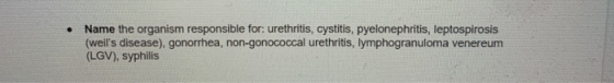Name the organism responsible for: urethritis, cystitis, pyelonephritis, leptospirosis (Weils disease), gonorrhea, non-gonoc