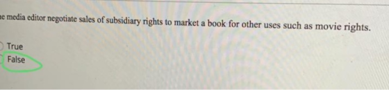 me media editor negotiate sales of subsidiary rights to market a book for other uses such as movie rights. True False
