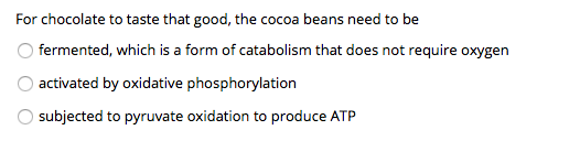 For chocolate to taste that good, the cocoa beans need to be O fermented, which is a form of catabolism that does not require