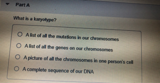 Part A What is a karyotype? O A list of all the mutations in our chromosomes O A list of all the genes on our chromosomes O A