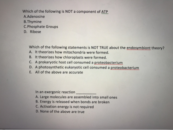 Which of the following is NOT a component of ATP A.Adenosine B.Thymine C.Phosphate Groups D. Ribose Which of the following st