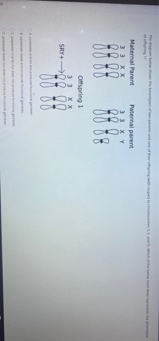 The diagram below shows the karyotypes of two parents and one of their offspring with respect to chromosomes. X and Y Which o
