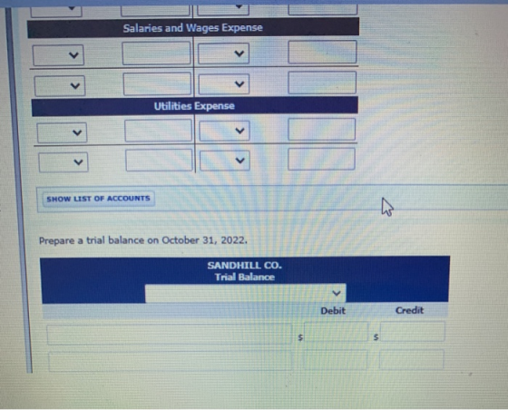 Salaries and Wages Expense Utilities Expense SHOW LIST OF ACCOUNTS Prepare a trial balance on October 31, 2022. SANDHILL CO.