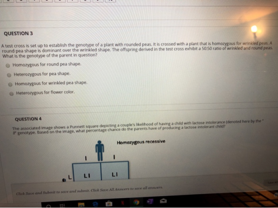 QUESTION 3 A test cross is set up to establish the genotype of a plant with rounded peas. It is crossed with a plant that is