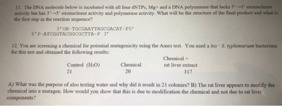 11. The DNA molecule below is incubated with all four dNTPs, Mg+ and a DNA polymerase that lacks 5+3 exonuclease activity b
