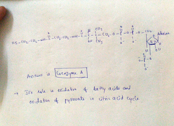 (d Ho Anue Coenzyme A