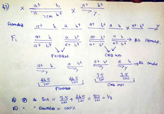 Granda at & a bt at at a b x at 67 at Parental Cross over All anale a b be 3.5 Too 465 at b abt at it 1465 465; Parental. do