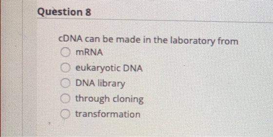 Question 8 cDNA can be made in the laboratory from O mRNA O eukaryotic DNA ODNA library O through cloning transformation