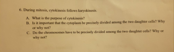 6. During mitosis, cytokinesis follows karyokinesis. A. What is the purpose of cytokinesis? B. Is it important that the cytop