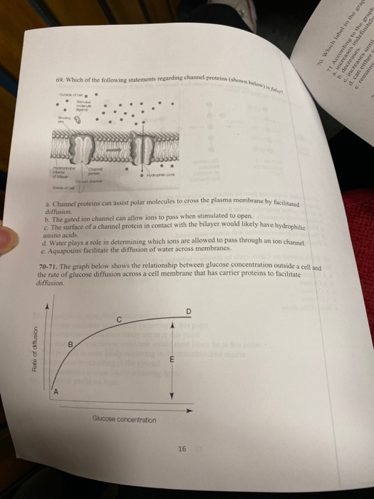 70. Which label in the gra 7 According to the graphs increases indefinitely increases until d. can either remains 69. Which o