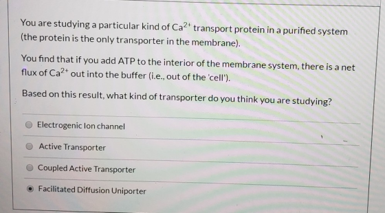 You are studying a particular kind of Ca2+ transport protein in a purified system (the protein is the only transporter in the