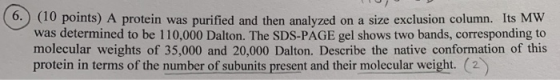 09 (0) (10 points) A protein was purified and then analyzed on a size exclusion column. Its MW was determined to be 110.000 D