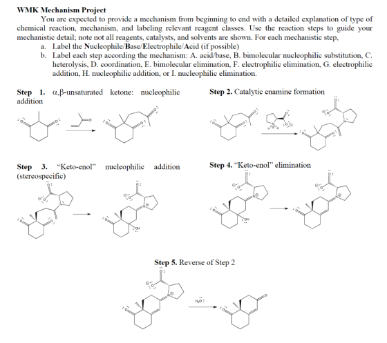 WMK Mechanism Project You are expected to provide a mechanism from beginning to end with a detailed explanation of type of ch