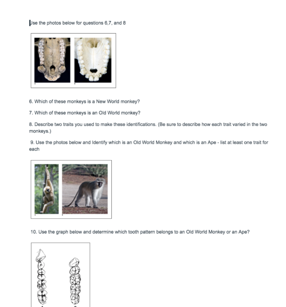 se the photos below for questions 6,7, and 8 6. Which of these monkeys is a New World monkey? 7. Which of these monkeys is an