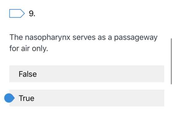 D 9. The nasopharynx serves as a passageway for air only. False True