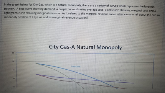 In the graph below for City Gas, which is a natural monopoly, there are a variety of curves which represent the long run posi