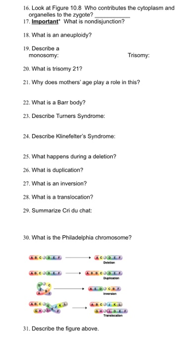 16. Look at Figure 10.8 Who contributes the cytoplasm and organelles to the zygote? 17. Important What is nondisjunction? 18.