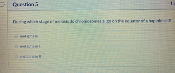 Question 5 During which stage of meiosis do chromosomes align on the equator of a haploid cell? metaphase e metaphasel metaph