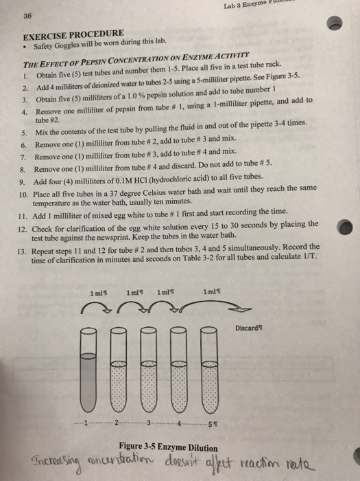 Lab 3 Enxyme PU 36 EXERCISE PROCEDURE • Safety Goggles will be worn during this lab. THE EFFECT OF PEPSIN CONCENTRATION ON EN