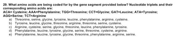 29. What amino acids are being coded for by the gene segment provided below? Nucleotide triplets and their corresponding amin