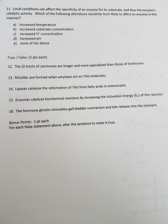 11. Local conditions can affect the specificity of an enzyme for its substrate, and thus the enzymes catalytic activity. Which of the following alterations would be least likely to affect an enzyme in this manner? a) Increased temperature b) Increased substrate concentration c) increased H concentration d) Increased pH e) none of the above True / False: (3 pts each) 12. The Gl tracts of carnivores are longer and more specialized than those of herbivores. 13. Micelles are formed when amylases act on TAG molecules 14. Lipases catalyze the reformation of TAG from fatty acids in enterocytes. 15. Enzymes catalyze biochemical reactions by increasing the Activation Energy (EA) of the reaction. 16. The hormone ghrelin stimulates gall bladder contraction and bile release into the stomach. Bonus Points: 1 pt each. For each false statement above, alter the sentence to make it true.