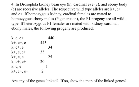 4. In Drosophila kidney bean eye (k), cardinal eye (c), and ebony body (e) are recessive alleles. The respective wild type al