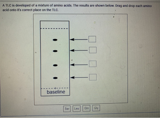 A TLC is developed of a mixture of amino acids. The results are shown below. Drag and drop each amino acid onto its correct