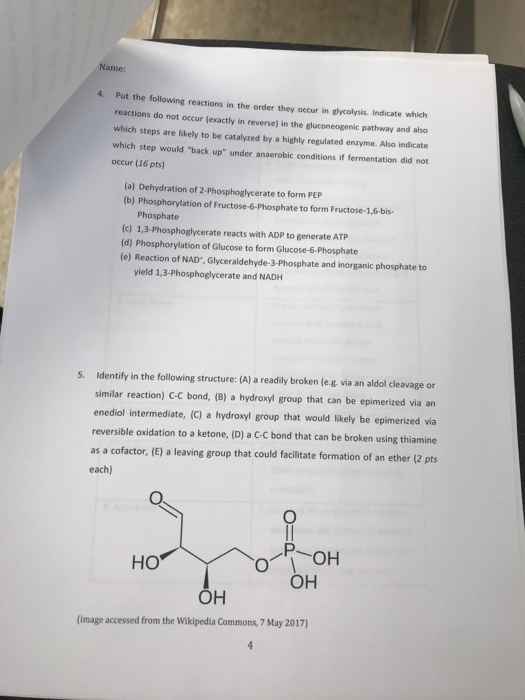 Name: 4. Put the following reactions in the order they occur in elycolysis. Indicate reactions do not occur (exactly in reverse) in the gluconeogenic pathway and also which steps are likely to be catalyzed by a highly regulated enzyme. Also indicate which step would back up under anaerobic conditions if fermentation did not occur (16 pts) (a) Dehydration of 2-Phosphoglycerate to form PEP (b) Phosphorylation of Fructose-6-Phosphate to form Fructose-1,6-bis- Phosphate (c) 1,3-Phosphoglycerate reacts with ADP to generate ATP (d) Phosphorylation of Glucose to form Glucose-6-Phosphate (e) Reaction of NAD, Glyceraldehyde-3-Phosphate and inorganic phosphate to yield 1,3-Phosphoglycerate and NADH 5. Identify in the following structure: (A) a readily broken (e.g. via an aldol cleavage or similar reaction) C-C bond, (8) a hydroxyl group that can be epimerized via an enediol intermediate, (C) a hydroxyl group that would likely be epimerized via reversible oxidation to a ketone, (D) a C-C bond that can be broken using thiamine as a cofactor, (E) a leaving group that could facilitate formation of an ether (2 pts each) HO ?? ?? (image accessed from the Wikipedia Commons, 7 May 2017)