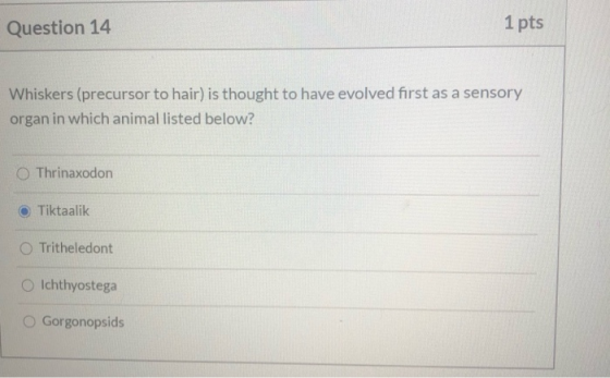Question 14 1 pts Whiskers (precursor to hair) is thought to have evolved first as a sensory organ in which animal listed bel