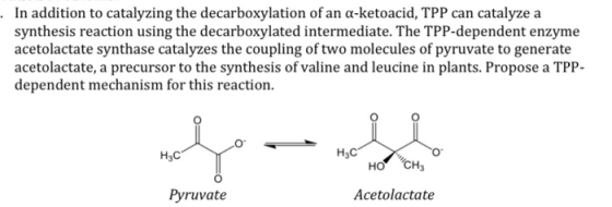 In addition to catalyzing the decarboxylation of an a-ketoacid, TPP can catalyze a synthesis reaction using the decarboxylate